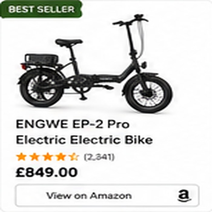 ENGWE Folding E-Bike