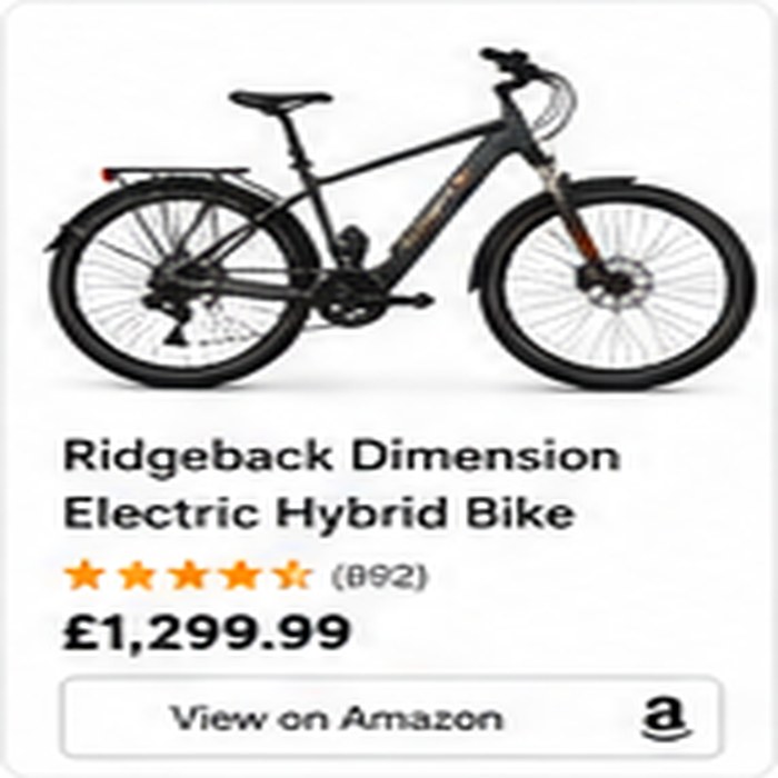 Ridgeback Electric Hybrid