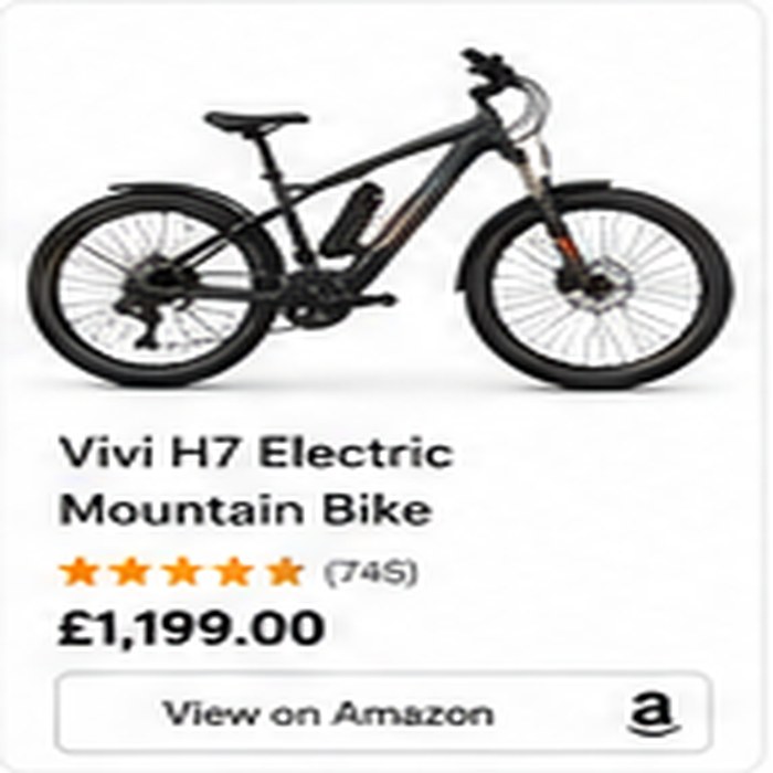 Vivi Electric Mountain Bike
